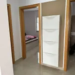 Gecko